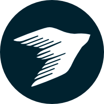 Fast process icon